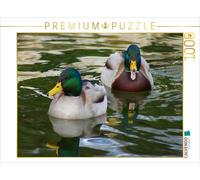CALVENDO Puzzle Stockenten Erpel 1000 Teile Puzzle quer 1000 Pieces 64 x 48 cm from Kattobello