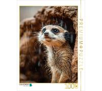 Puzzle CALVENDO Suricate sous la pluie avec un regard curieux | 1000 pièces, for