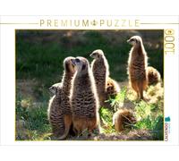Puzzle CALVENDO Suricates - Toujours vigilants | 1000 pièces, format assemblé 64