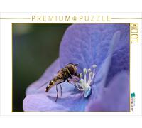 CALVENDO Puzzle Hoverfly sur Hortensia 1000 Pieces 64 x 48 cm from Silvia Hahnefeld