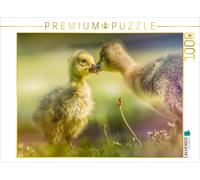 Puzzle CALVENDO Tendre rencontre - Un moment parmi les oisons | 1000 pièces, for