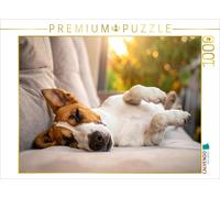 Puzzle CALVENDO Terrier, plongé dans un sommeil paisible avant la prochaine acti