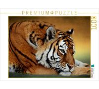 Puzzle CALVENDO Tigre de Sibérie au repos | 1000 pièces, format assemblé 64 × 48