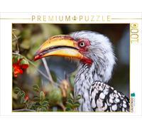 Puzzle CALVENDO Toko à bec jaune | 1000 pièces, format assemblé 64 × 48 cm | Puz