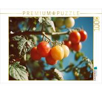Puzzle CALVENDO Tomates mûres sur un arbuste au soleil | 1000 pièces, format ass