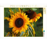 Puzzle CALVENDO Tournesols | 1000 pièces, format assemblé 64 × 48 cm | Puzzle ph