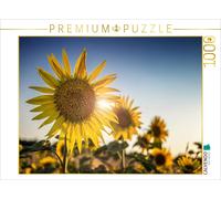 Puzzle CALVENDO Tournesols | 1000 pièces, format assemblé 64 × 48 cm | Puzzle ph