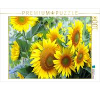Puzzle CALVENDO Tournesols | 1000 pièces, format assemblé 64 × 48 cm | Puzzle ph