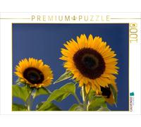 Puzzle CALVENDO Tournesols | 1000 pièces, format assemblé 64 × 48 cm | Puzzle ph