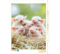CALVENDO Puzzle Simply Cute | 1000 pièces Taille de la Pose 48 x 64 cm Puzzle Photo pour des Heures heureuses