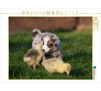 Puzzle CALVENDO Toutes mes petites oies | 1000 pièces, format assemblé 64 × 48 c