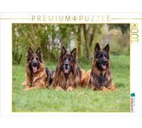 Puzzle CALVENDO Trio de chiens de berger à poil long | 1000 pièces, format assem