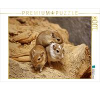 Puzzle CALVENDO Trio de gerbilles | 1000 pièces, format assemblé 64 × 48 cm | Pu