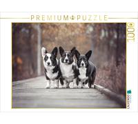 CALVENDO Puzzle Trio de Corgi Gallois 1000 Pieces 64 x 48 cm from Maria Ahrens