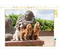CALVENDO Puzzle Trois cockers Assis Devant Une Figure de Pierre 1000 Pieces 64 x 48 cm from Verena Scholze
