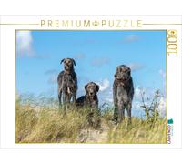 CALVENDO Puzzle Trois Irish Wolfhounds sur Une Dune à Sankt Peter-Ording 1000 Pieces 64 x 48 cm from Annett Mirsberger