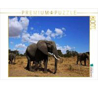 CALVENDO Puzzle Troupeau d'éléphants en Afrique 1000 Pieces 64 x 48 cm from Wibke Woyke