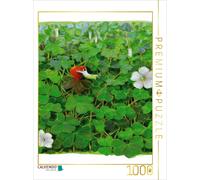 CALVENDO Puzzle Trouvez Votre Bonheur 1000 Pieces 48 x 64 cm from Jutta Kleinert