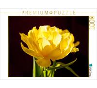 CALVENDO Puzzle Tulipe 1000 Pieces 64 x 48 cm from Christiane Calmbacher