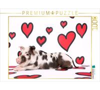 CALVENDO Puzzle Turopolje Ferkel / Turopolje Piglet 1000 Pieces 64 x 48 cm from Jeanette Hutfluss