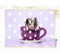 Puzzle CALVENDO Turopolje Ferkel / Turopolje Piglet | 1000 pièces, format assemb