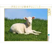 Puzzle CALVENDO Un adorable agneau sur la digue | 1000 pièces, format assemblé 6