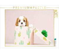 CALVENDO Puzzle Un Adorable Chiot découvre Le Monde 1000 Pieces 64 x 48 cm from Natalie Eckelt