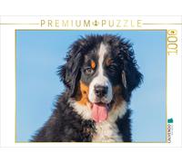 Puzzle CALVENDO Un adorable jeune bouvier bernois | 1000 pièces, format assemblé