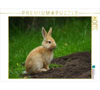Puzzle CALVENDO Un adorable lapin nain | 1000 pièces, format assemblé 64 × 48 cm