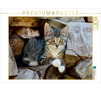Puzzle CALVENDO Un adorable petit chaton sur un tas de bois | 1000 pièces, forma