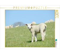 CALVENDO Puzzle Lamm Steht Auf der Wiese 1000 Teile Puzzle quer 1000 Pieces 64 x 48 cm from Carola Schubbel