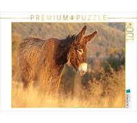 Puzzle CALVENDO Un âne du Poitou à l'aube | 1000 pièces, format assemblé 64 × 48