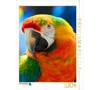 Puzzle CALVENDO Un arara arc-en-ciel haut en couleur | 1000 pièces, format assem