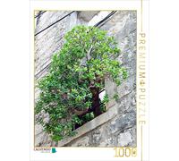 CALVENDO Puzzle Baum im Fenster 1000 Teile Puzzle Hoch 1000 Pieces 48 x 64 cm from Nina Schwarze
