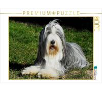 CALVENDO Puzzle Colley Barbu dans Le pré 1000 Pieces 64 x 48 cm from Sista-Tierfoto