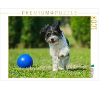 CALVENDO Puzzle Bichon Havanais au Jeu 1000 Pieces 64 x 48 cm from Sista-Tierfoto