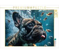 Puzzle · Un Bouledogue français Plonge avec des Poissons | Les quadrupèdes s'amusent dans la piscine · 1000 pièces · Format assemblé 64 × 48 cm · CALVENDO Puzzle