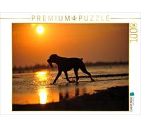 Puzzle CALVENDO Un boxer au coucher du soleil | 1000 pièces, format assemblé 64