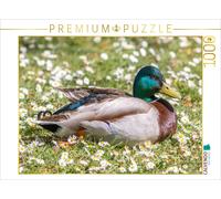 Puzzle CALVENDO Un canard mâle dans un pré | 1000 pièces, format assemblé 64 × 4