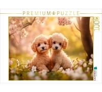 Puzzle CALVENDO Un caniche dans la douce lumière du printemps | 1000 pièces, for
