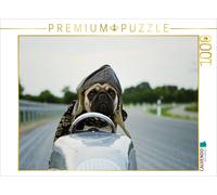 Puzzle CALVENDO Un carlin déchaîné | 1000 pièces, format assemblé 64 × 48 cm | P