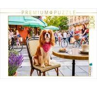 Puzzle CALVENDO Un cavalier spaniel dans un café animé en terrasse | 1000 pièces