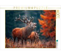 Puzzle CALVENDO Un cerf puissant crie pendant le rut dans la forêt automnale et