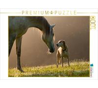 Puzzle CALVENDO Un cheval et un chien dans la brume de septembre | 1000 pièces,