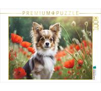 Puzzle CALVENDO Un chihuahua brun et blanc assis dans un champ de coquelicots |