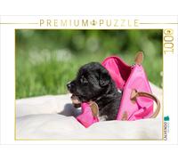 CALVENDO Puzzle Border Collie Welpe in Handtasche 1000 Teile Puzzle quer 1000 Pieces 64 x 48 cm from Andrea Mayer