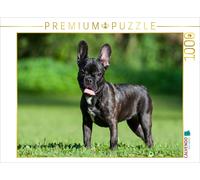 CALVENDO Puzzle Chiot Bulldog français dans Le pré 1000 Pieces 64 x 48 cm from Sista-Tierfoto