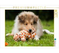 Puzzle CALVENDO Un chiot colley qui joue | 1000 pièces, format assemblé 64 × 48