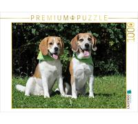 CALVENDO Puzzle Couple de Beagles 1000 Pieces 64 x 48 cm from Sista-Tierfoto