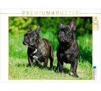 CALVENDO Puzzle Couple de bouledogues français 1000 Pieces 64 x 48 cm from Sista-Tierfoto